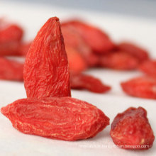 Baies de Goji de Medlar Baies de Goji de l&#39;Himalaya de Wolfberry chinois